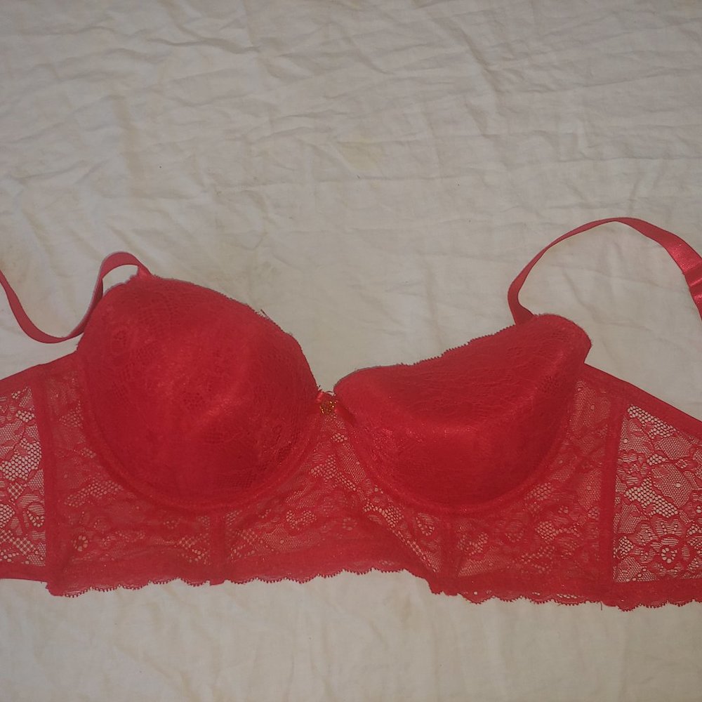 Daisy Fuentes Red Bra